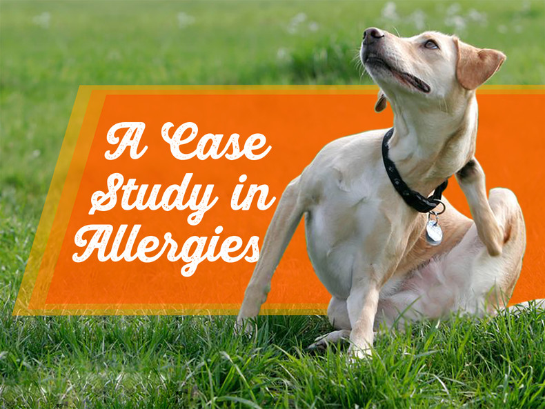 ​A Case Study in Allergies