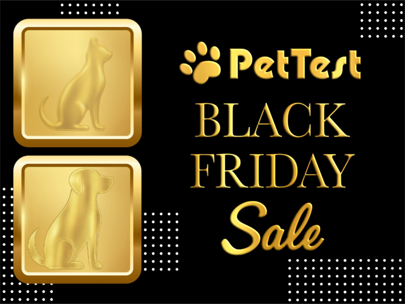 Black Friday Sale 2025