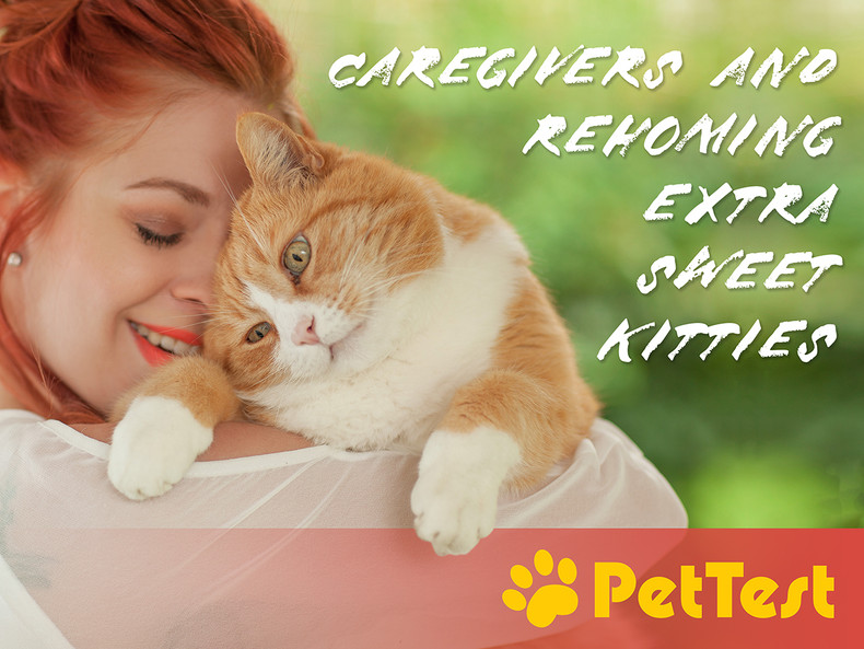 ​Caregivers and Rehoming Extra Sweet Kitties
