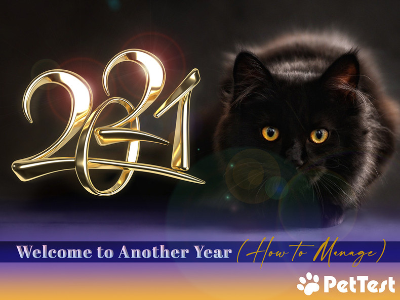 ​Welcome to Another Year (How to Manage)