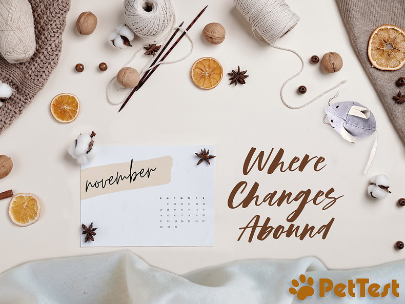 November...  Where Changes Abound