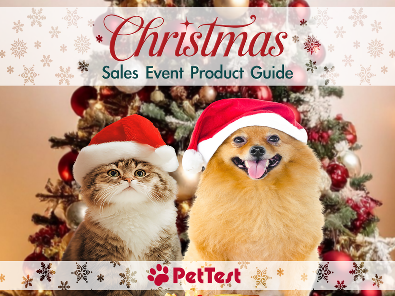 Christmas Sale 2025!