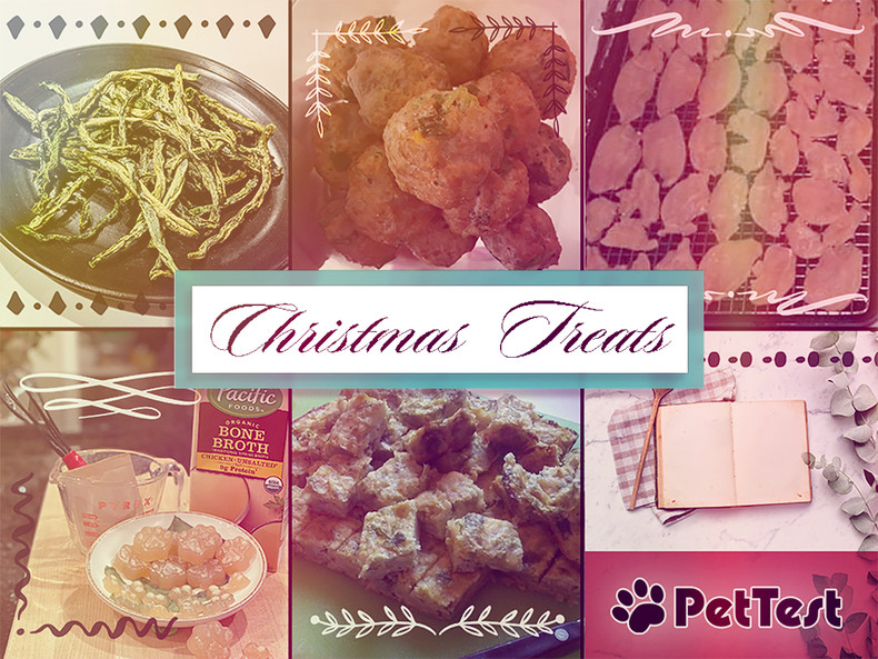 Christmas Treats for Your Diabetic Dog!