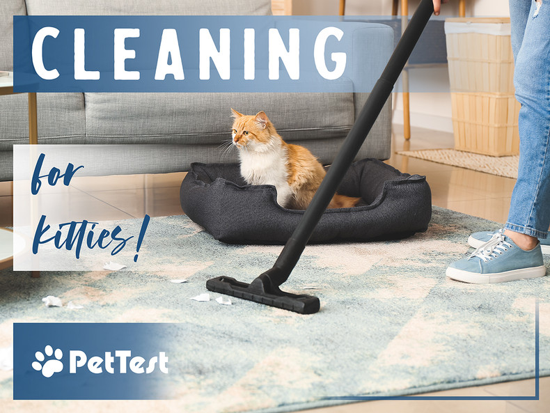 ​Cleaning for Kitties!