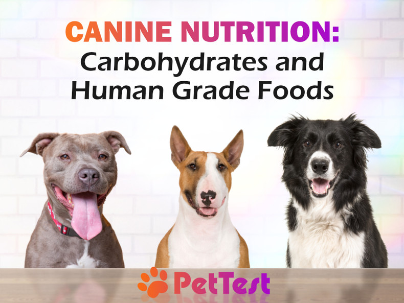 Canine Nutrition: Carbohydrates and Human-grade Foods
