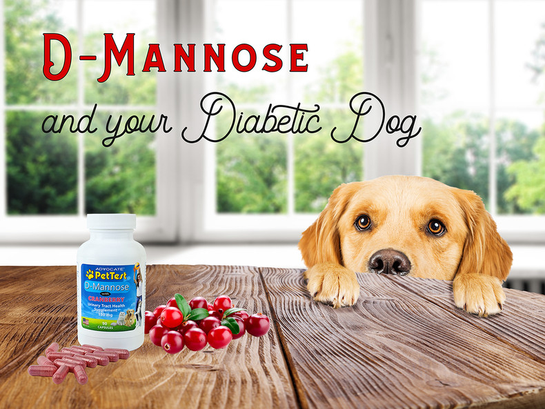D-Mannose and Your Diabetic Dog