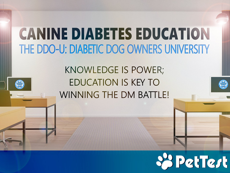 ​Canine Diabetes Education - The DDO-U: Diabetic Dog Owners University