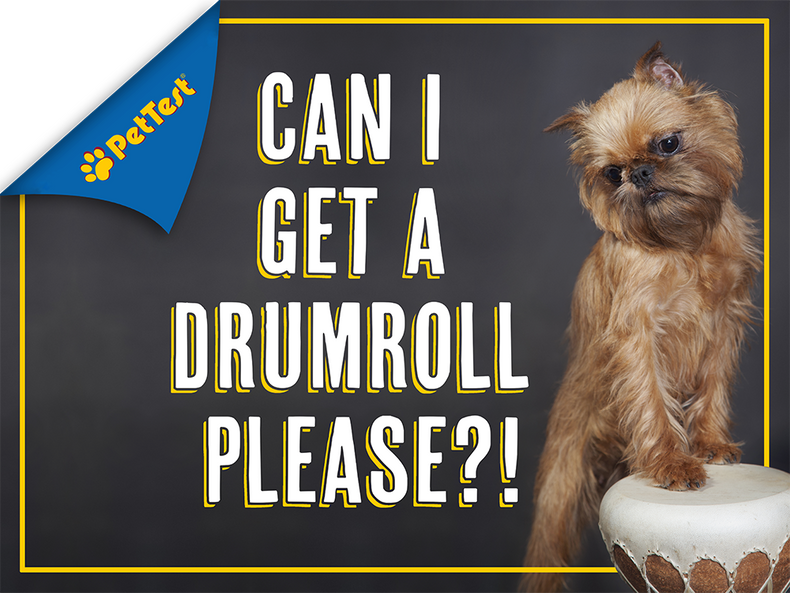 Can I Get A Drumroll Please?!