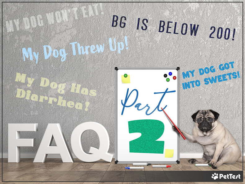 FAQ: Part 2 