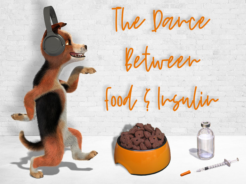 The Dance Between Food and Insulin