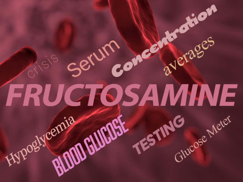 Fructosamine Testing My Diabetic Dog