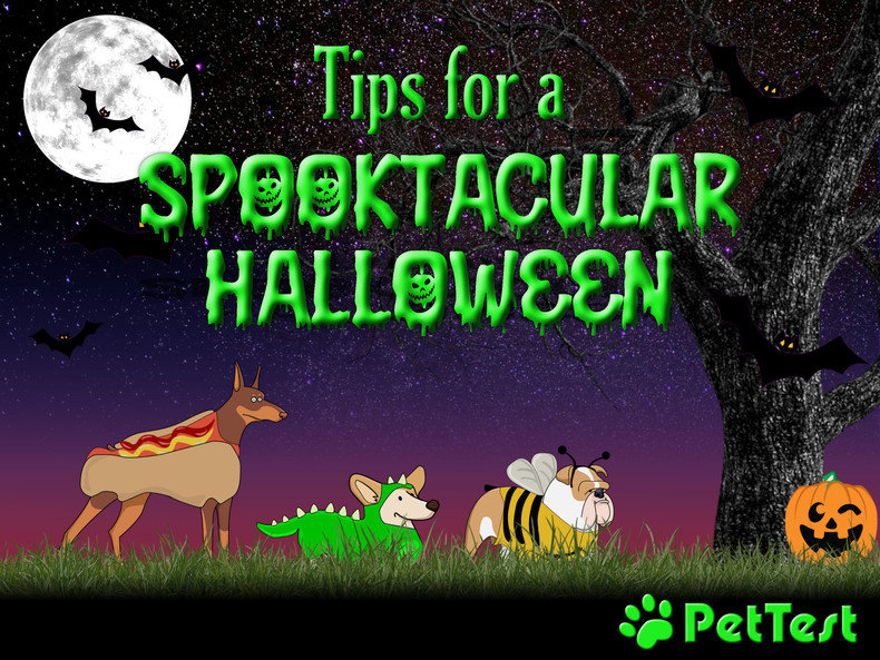 ​Tips for a Spooktacular Halloween