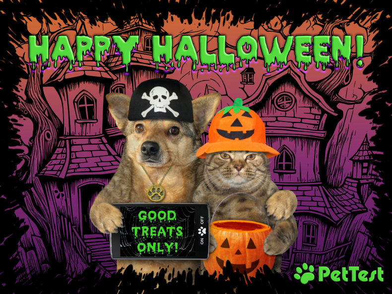 ​Happy Halloween!