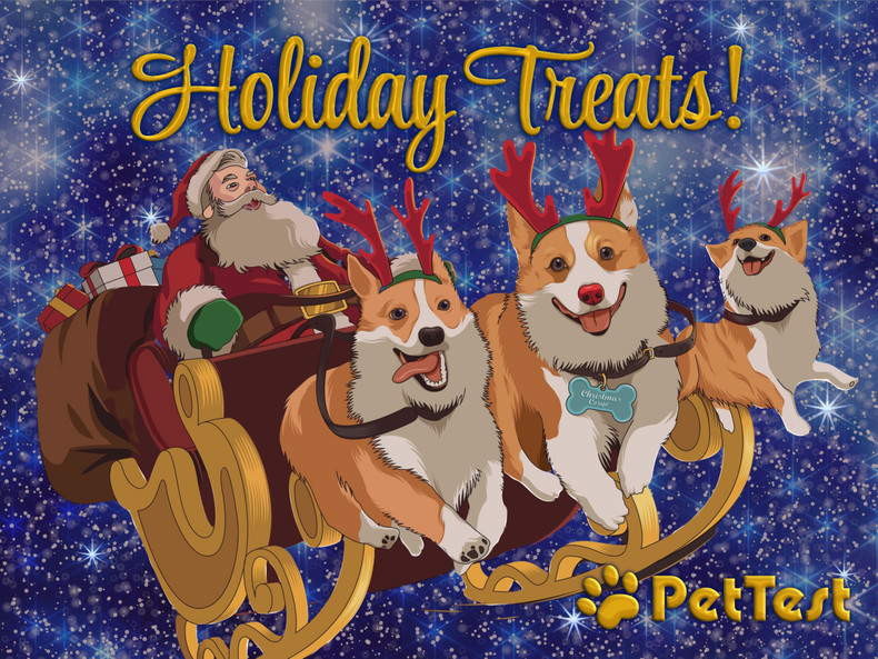 Holiday Treats!