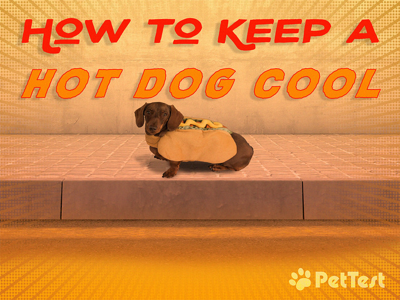 How to Keep a Hot Dog Cool
