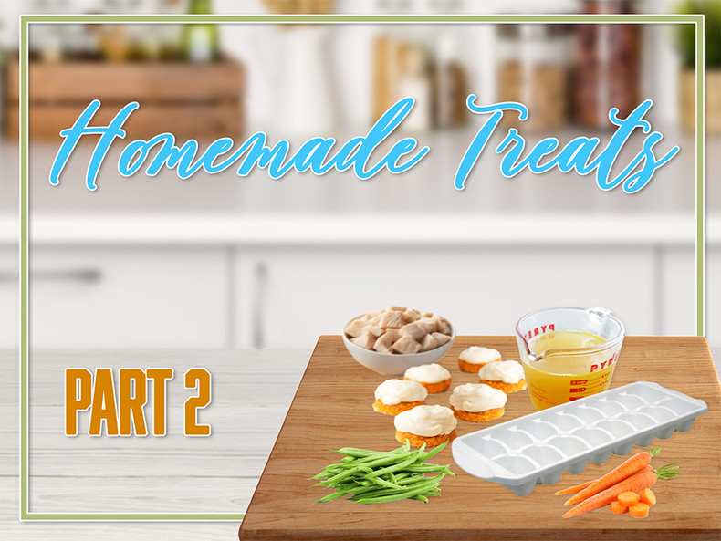 Homemade Treats for Your Diabetic Dog: Part 2