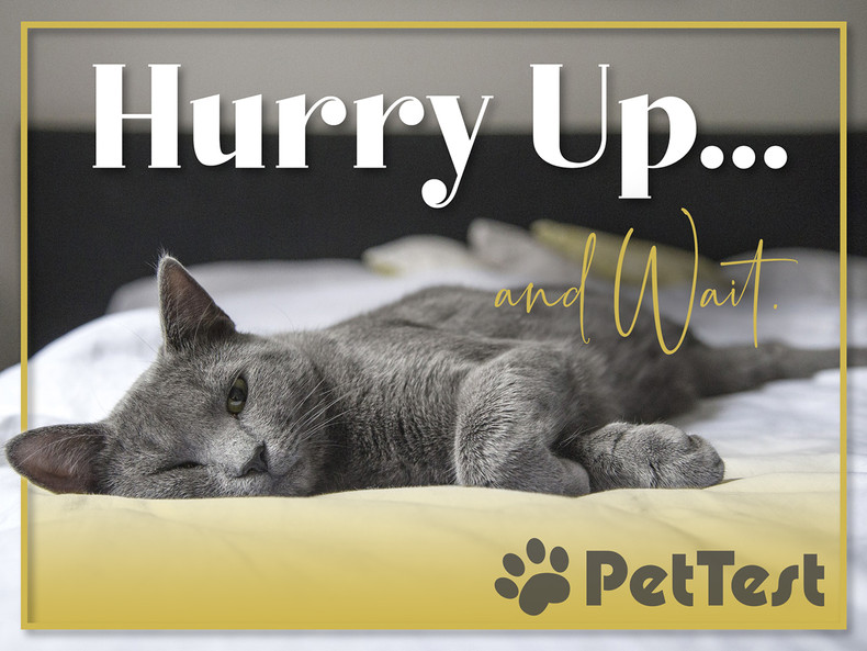 Hurry Up… And Wait