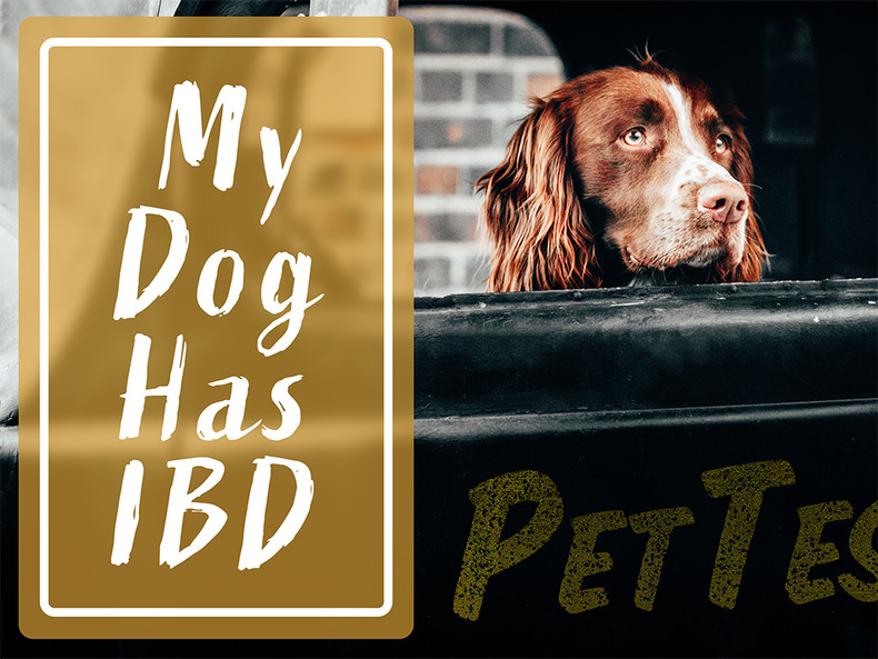 My Diabetic Dog Has IBD