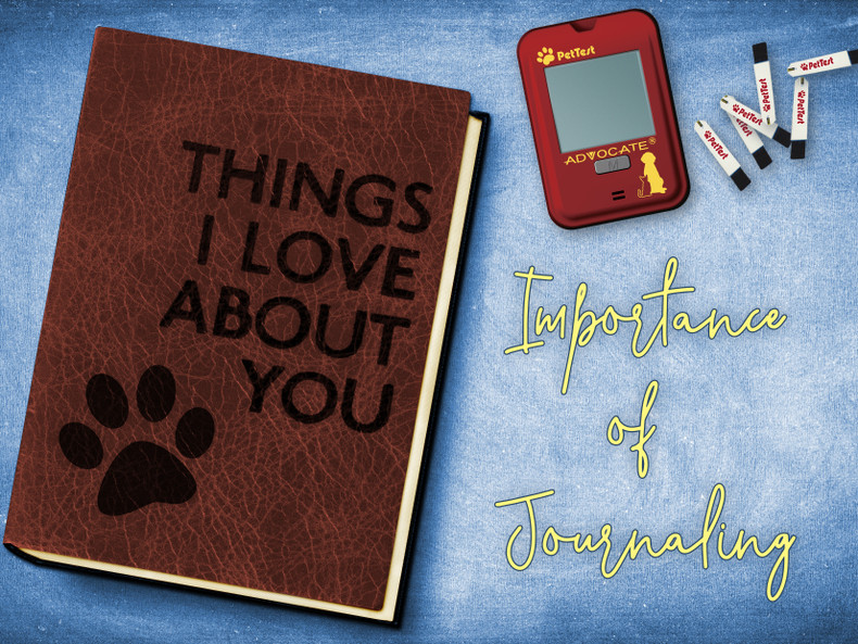 The Importance of Journaling