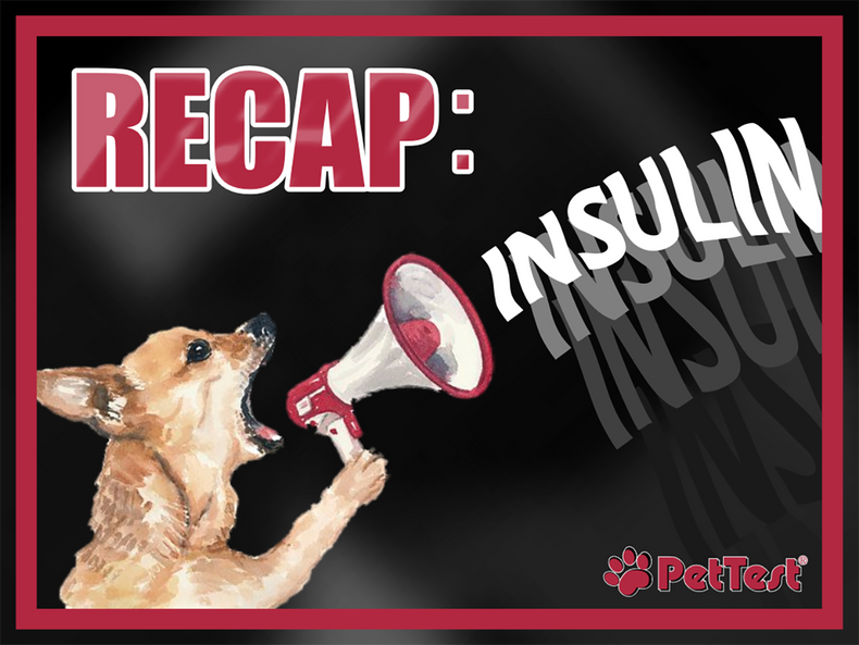 Recap: Insulin