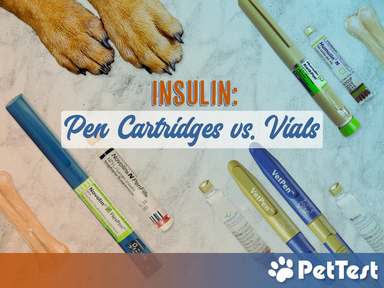 Insulin - Pen Cartridges vs. Vials