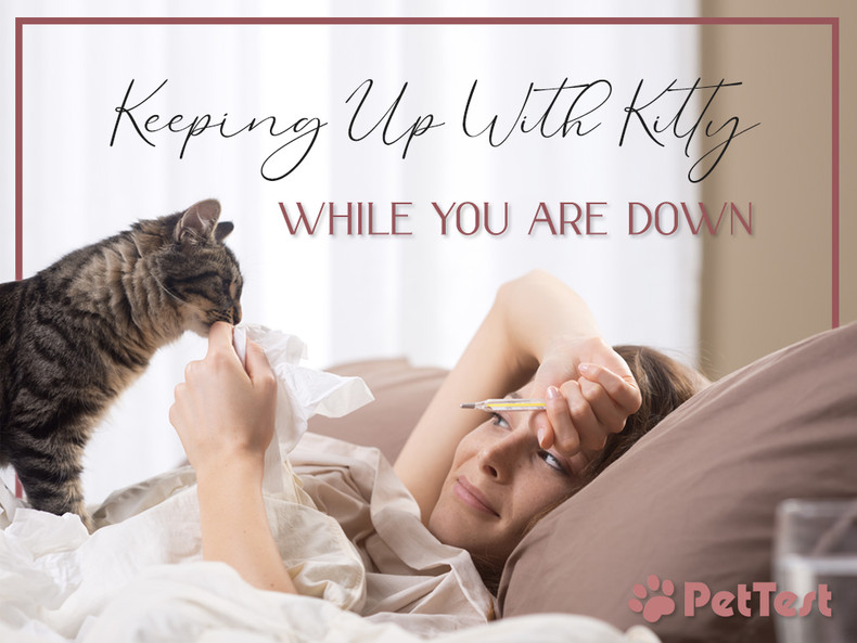 Keeping Up With Kitty While You Are Down