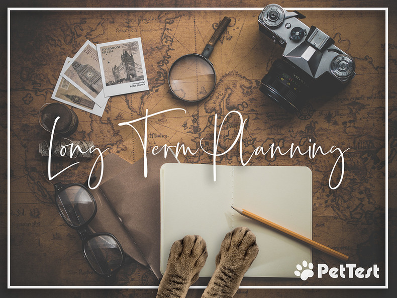 Long-Term Planning for Kitty