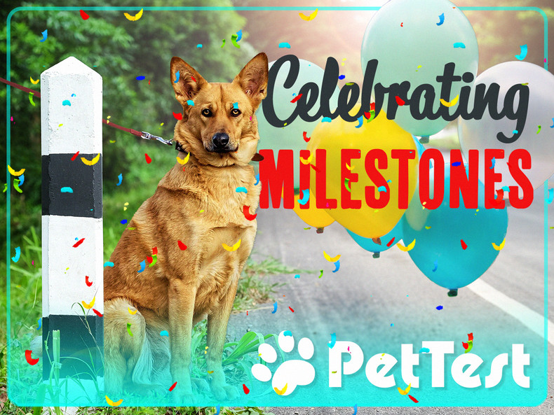 Celebrating Milestones