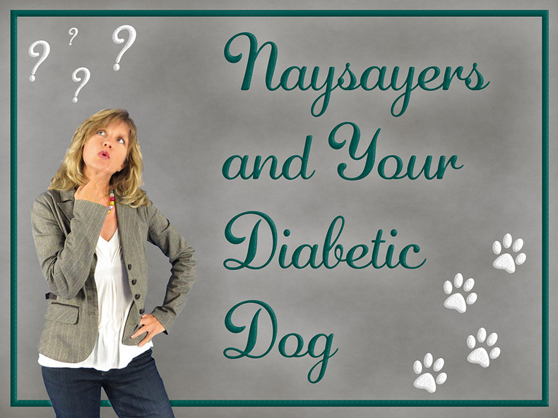 Naysayers and Your Diabetic Dog