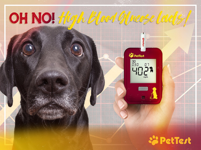 ​OH NO! High Blood Glucose Levels!