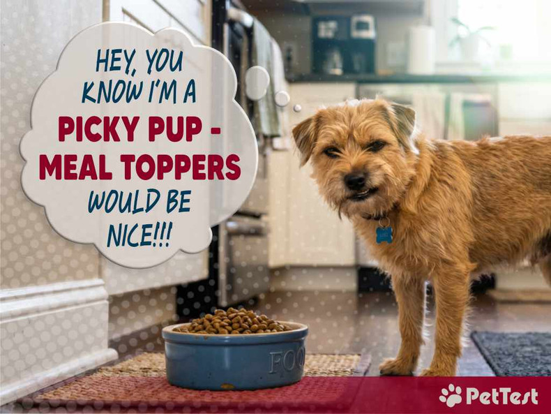 Picky Pups – Meal Toppers