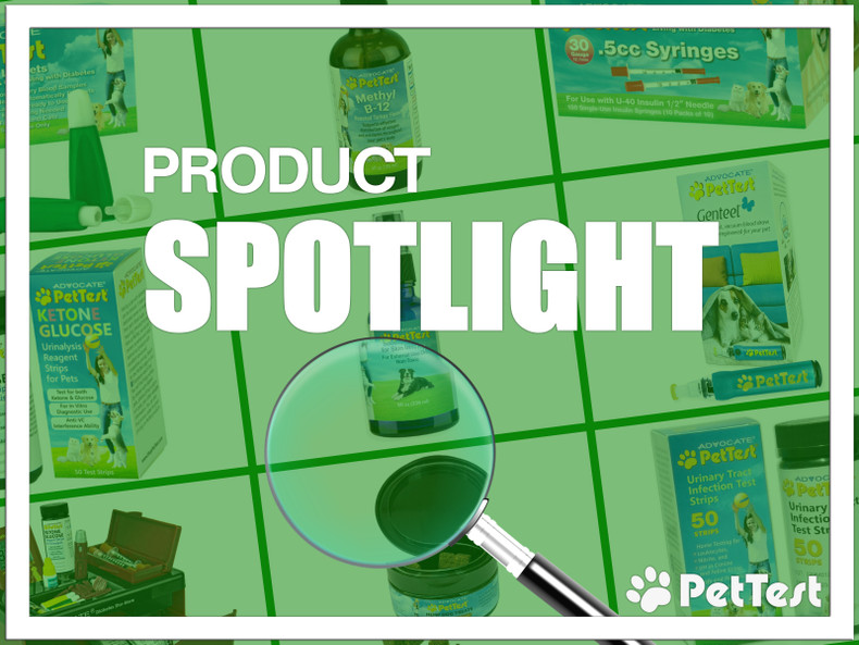 Product Spotlight: December 2022
