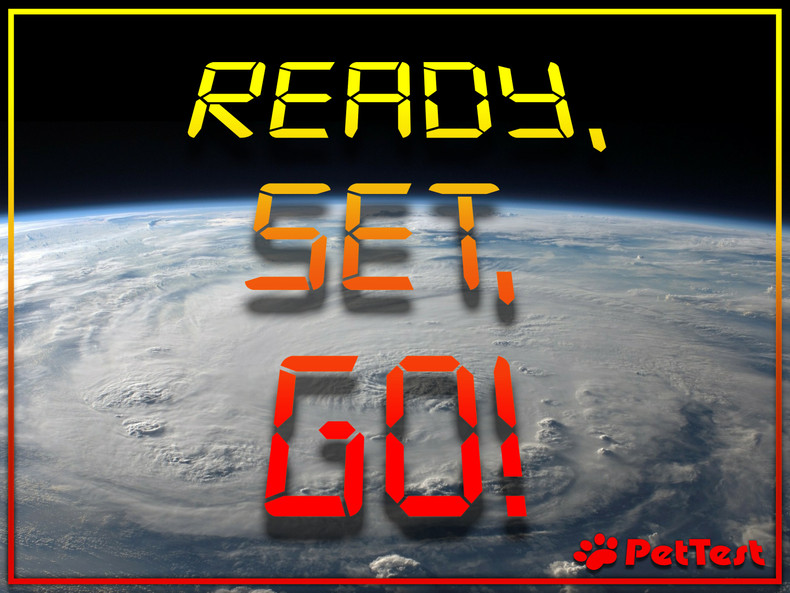 ​Ready, Set, GO!