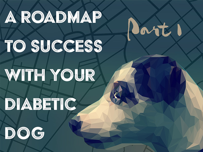 A Roadmap to Success with Your Diabetic Dog: Pt.1