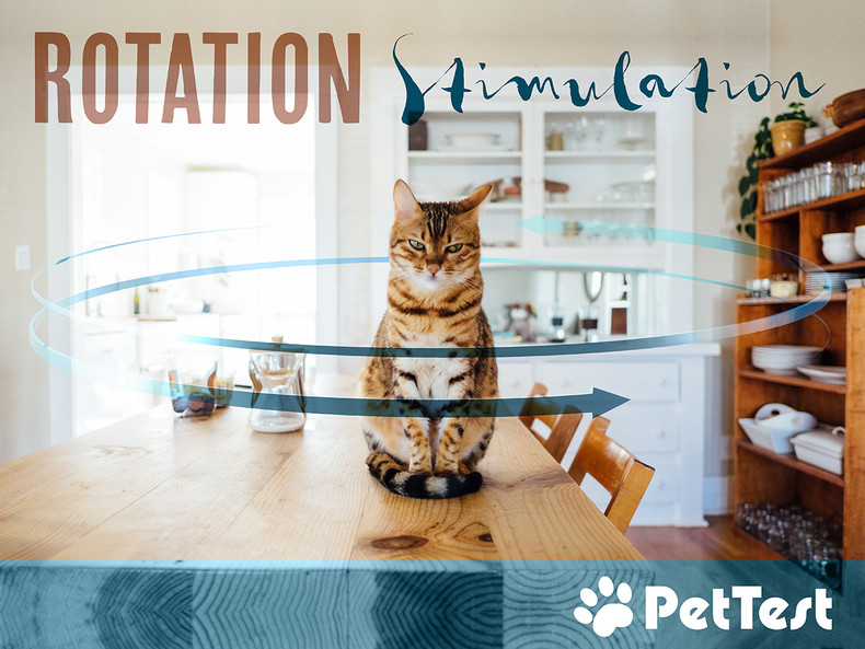 Rotation Stimulation
