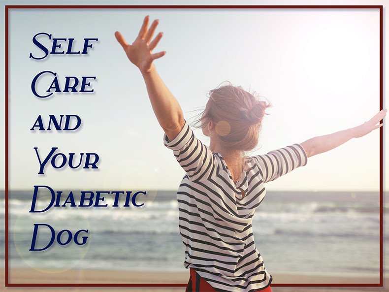 Self-Care and Your Diabetic Dog