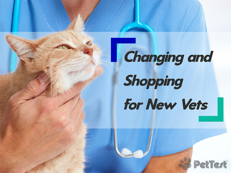 Changing and Shopping for New Vets