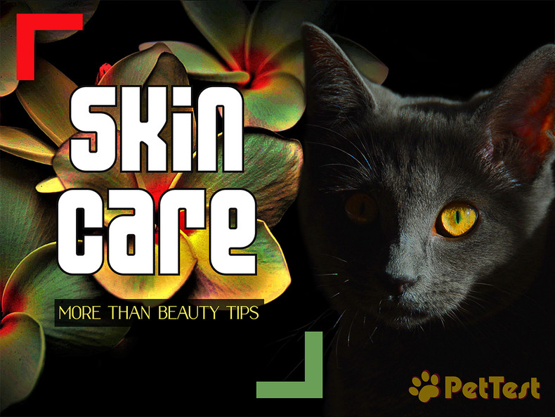 Skin Care – More Than Beauty Tips