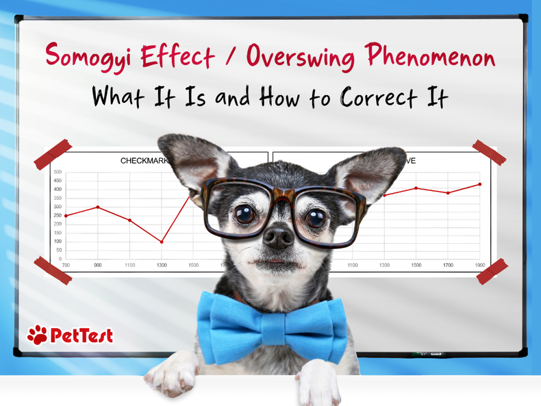 Somogyi Effect / Overswing Phenomenon: What It Is and How to Correct It