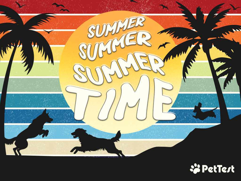 summer, Summer, SUMMERTIME