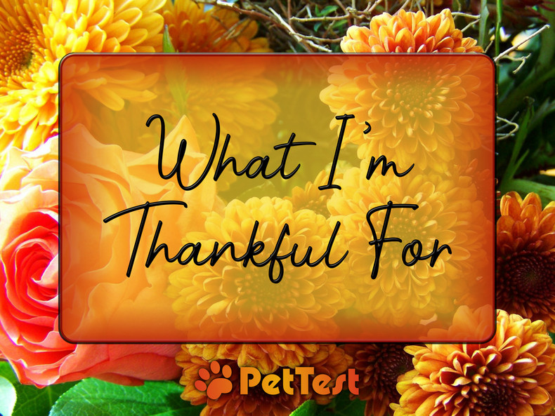 What I'm Thankful For