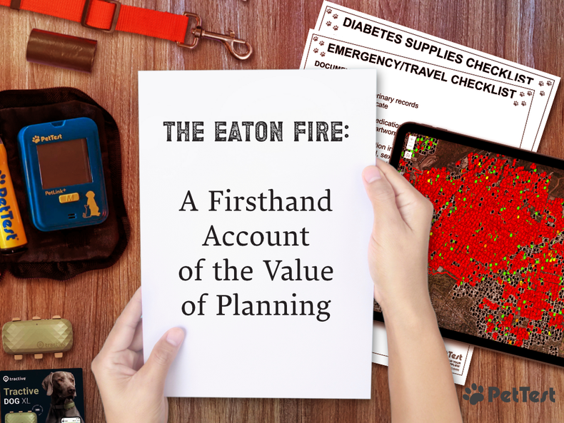 The Eaton Fire: A Firsthand Account of the Value of Planning
