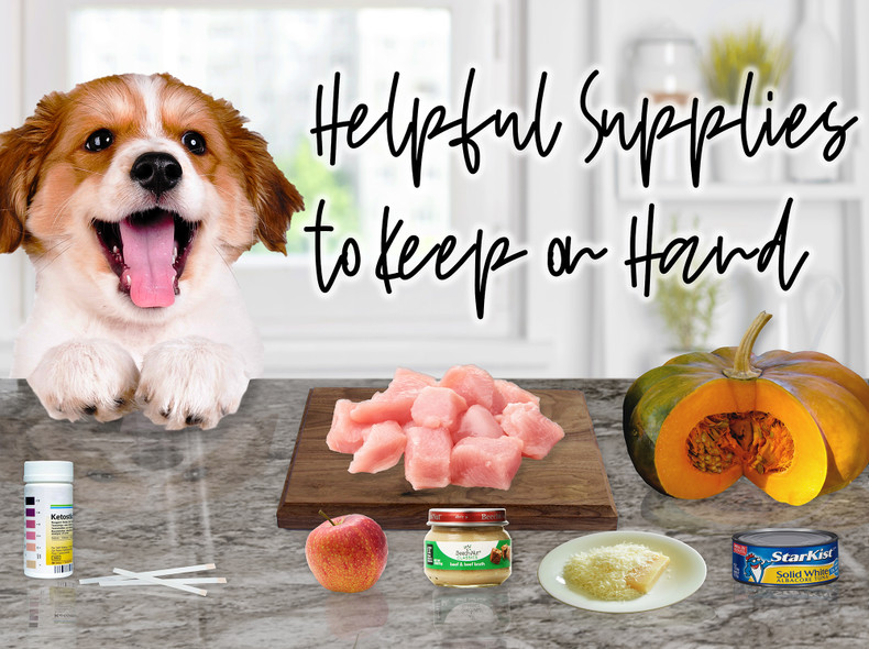 More Supplies for your Diabetic Dog