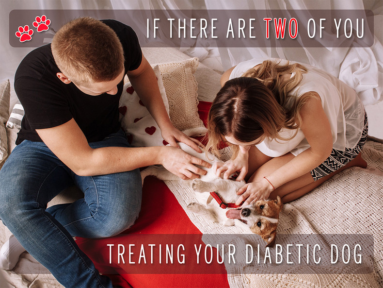 If There Are Two of You Treating Your Diabetic Dog