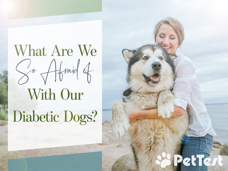 ​What Are We So Afraid of With Our Diabetic Dogs?