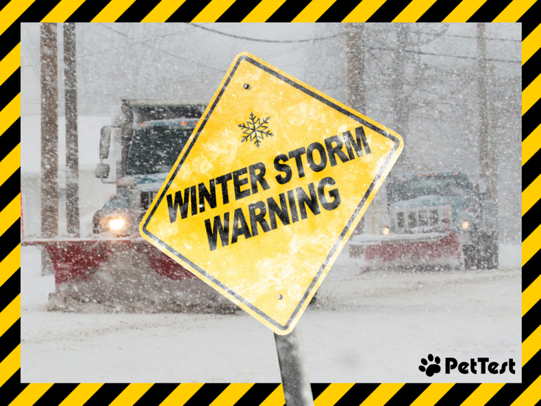 Winter Storm Warning!