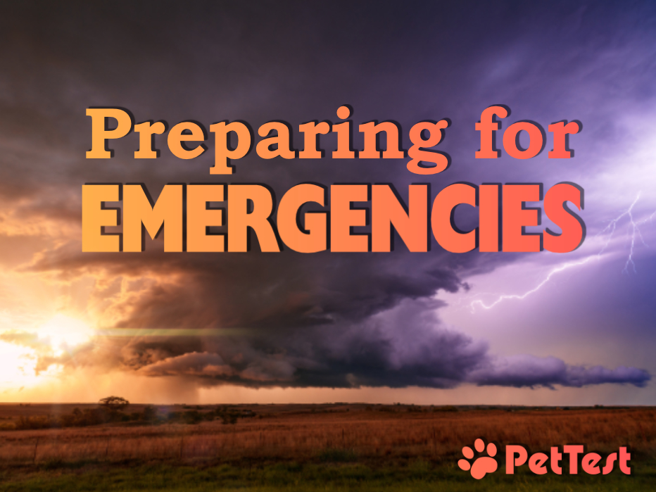Preparing For Emergencies Pettest By Advocate