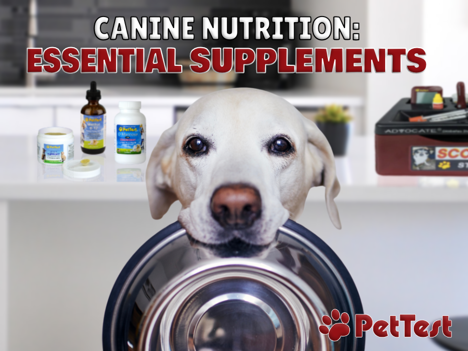 Canine Nutrition: Essential Supplements - PetTest by Advocate