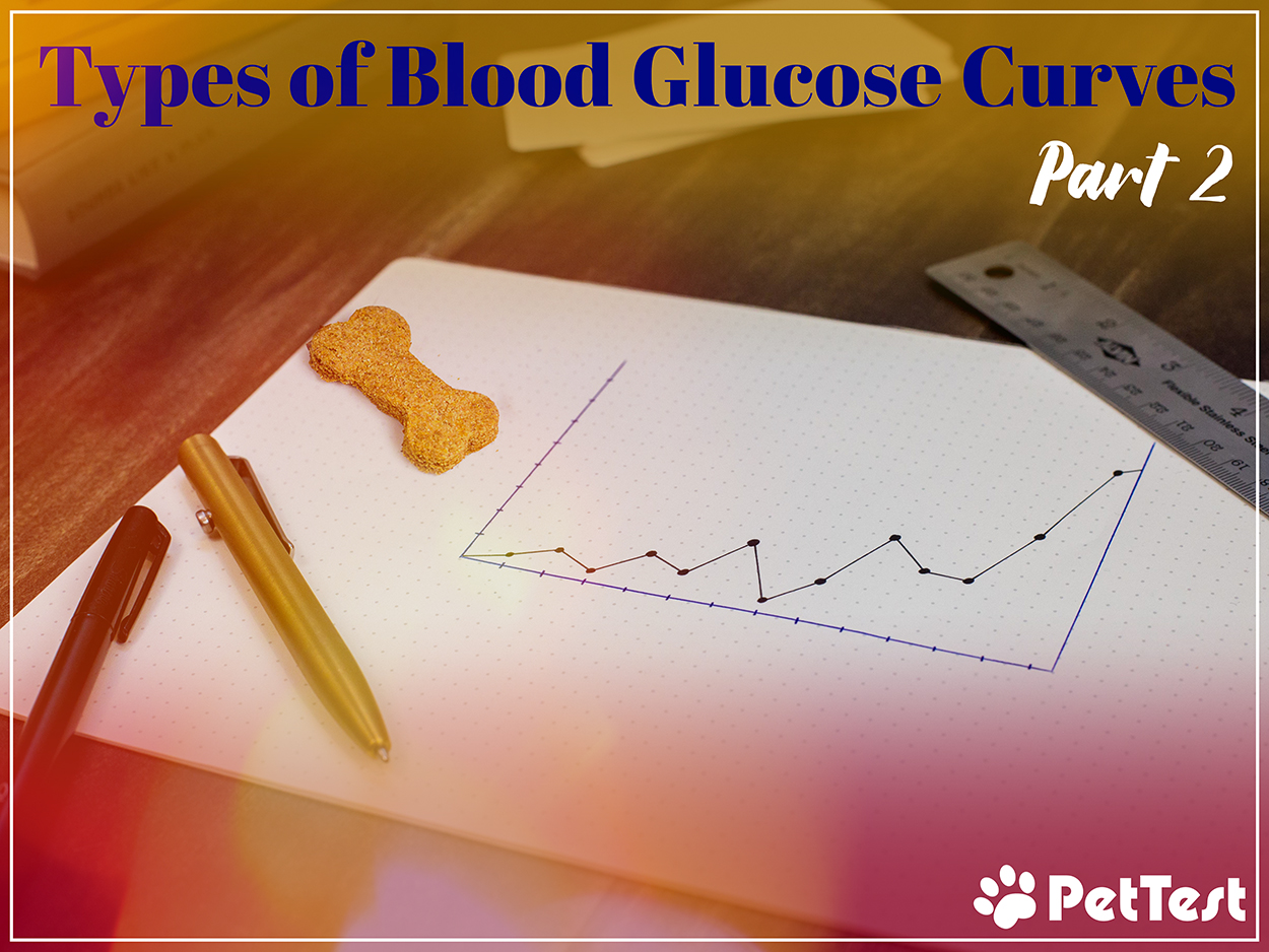 Types of Blood Glucose Curves Part 2 PetTest by Advocate
