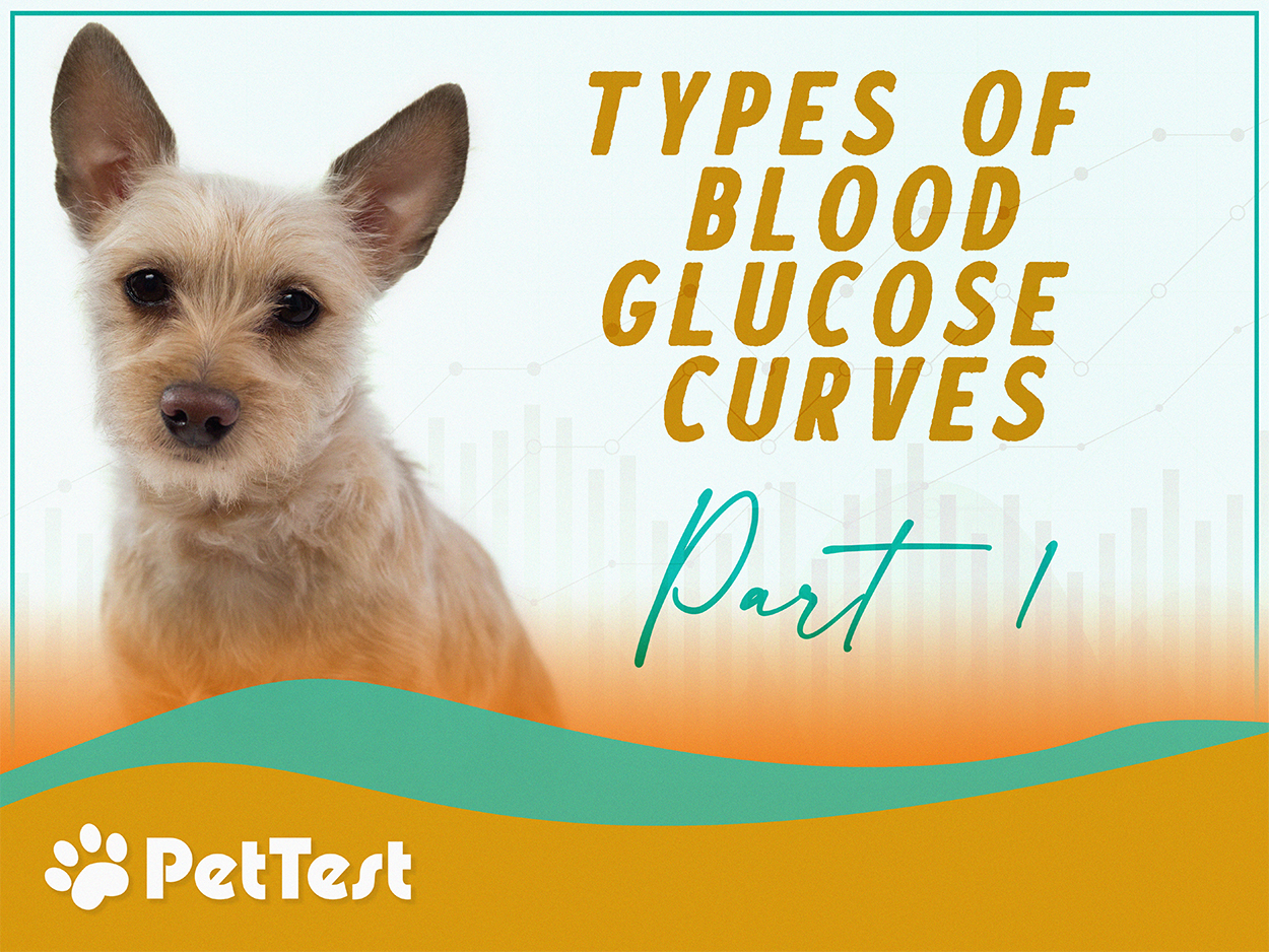 Types of Blood Glucose Curves, Part 1 PetTest by Advocate